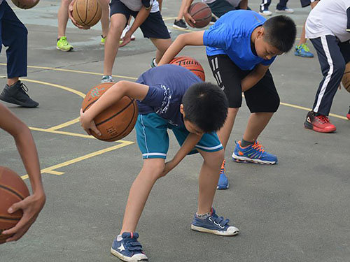 伟德bv国际体育