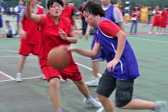 伟德bv国际体育