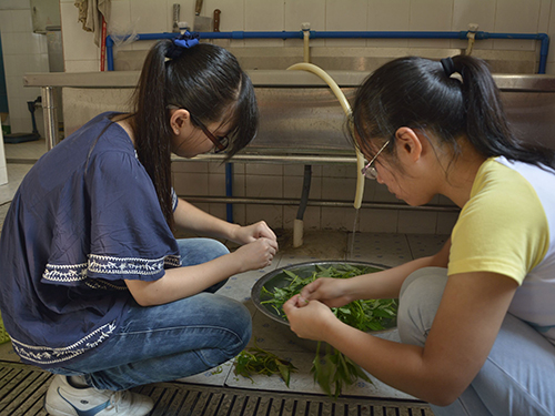 伟德bv国际体育