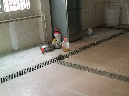 伟德bv国际体育