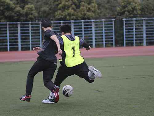 伟德bv国际体育