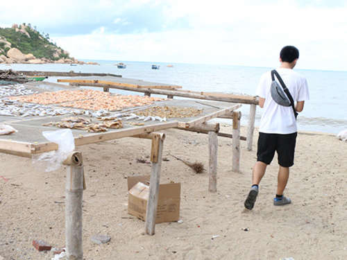 伟德bv国际体育