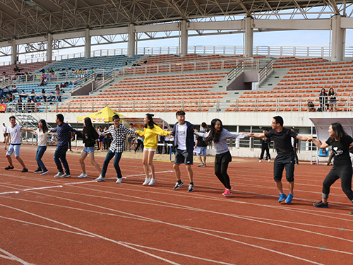 伟德bv国际体育