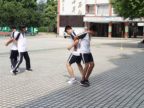 伟德bv国际体育