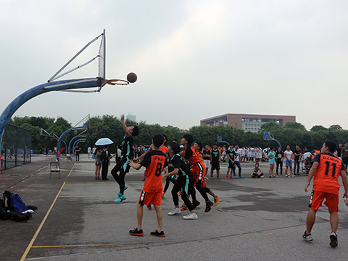 伟德bv国际体育