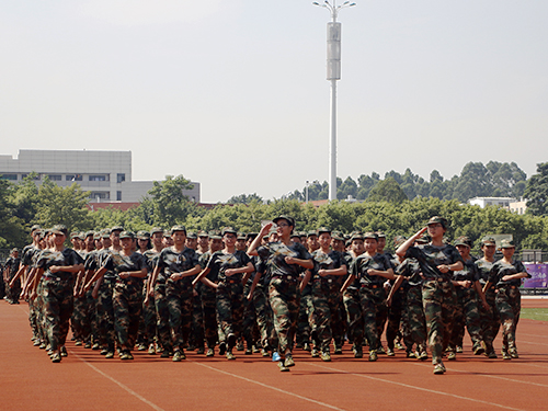 伟德bv国际体育