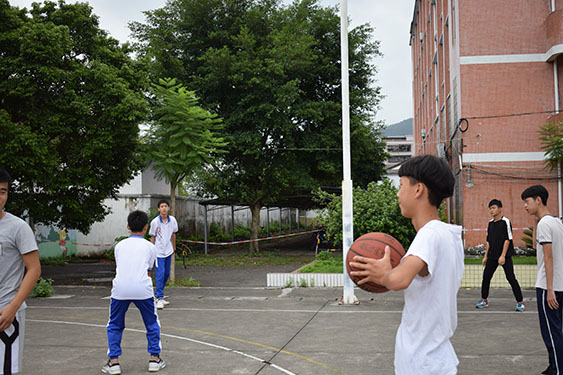 伟德bv国际体育