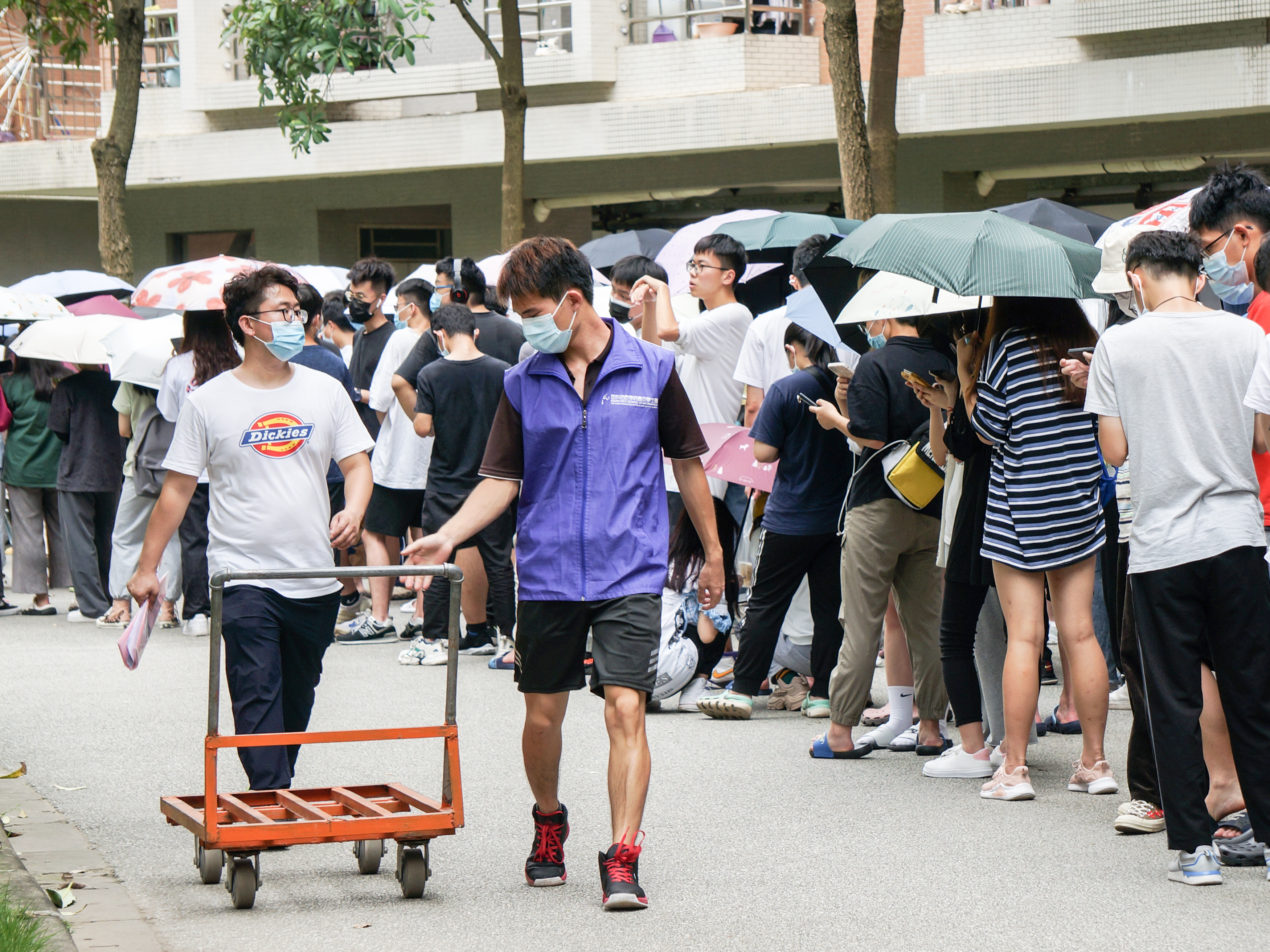 伟德bv国际体育