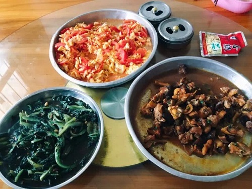 伟德bv国际体育