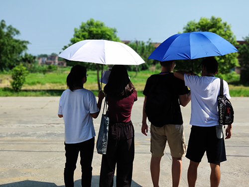 伟德bv国际体育