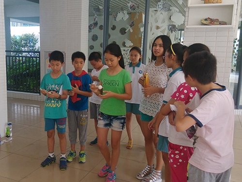 伟德bv国际体育