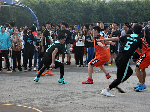 伟德bv国际体育