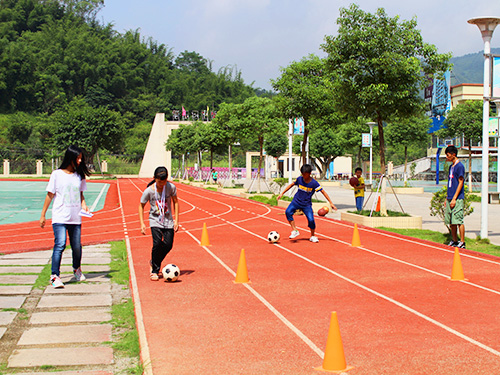 伟德bv国际体育