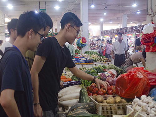 伟德bv国际体育