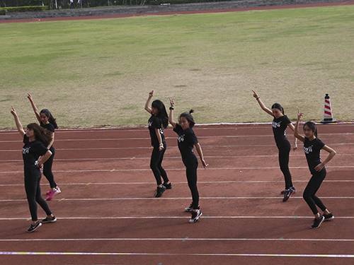 伟德bv国际体育