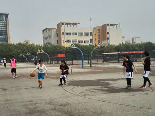 伟德bv国际体育