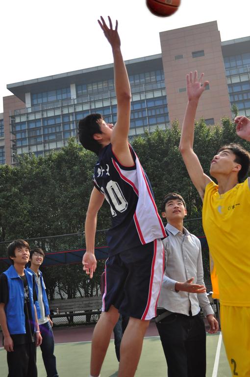 伟德bv国际体育