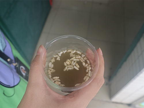 伟德bv国际体育