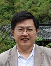 伟德bv国际体育