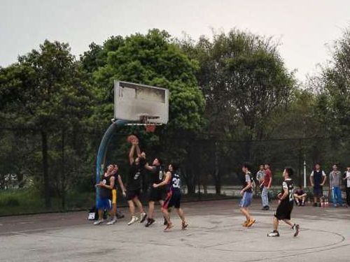 伟德bv国际体育