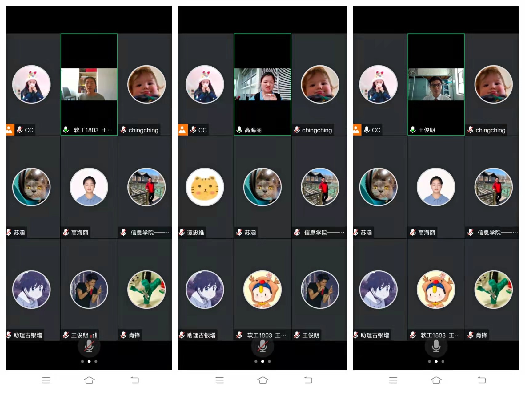 伟德bv国际体育