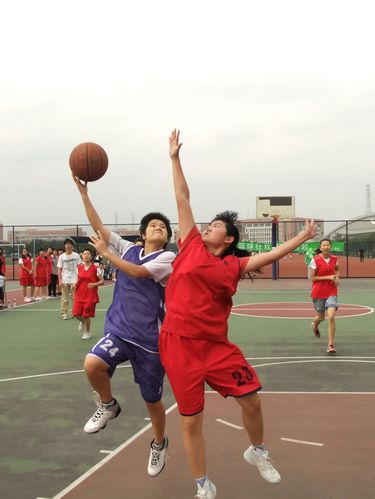 伟德bv国际体育