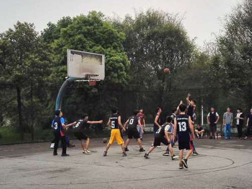 伟德bv国际体育