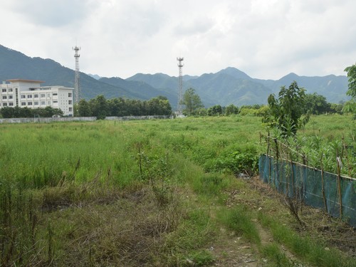 伟德bv国际体育