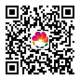 伟德bv国际体育