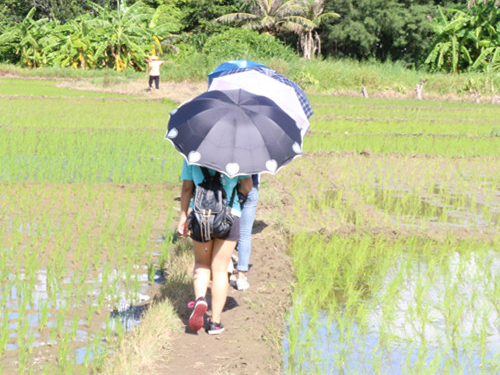 伟德bv国际体育