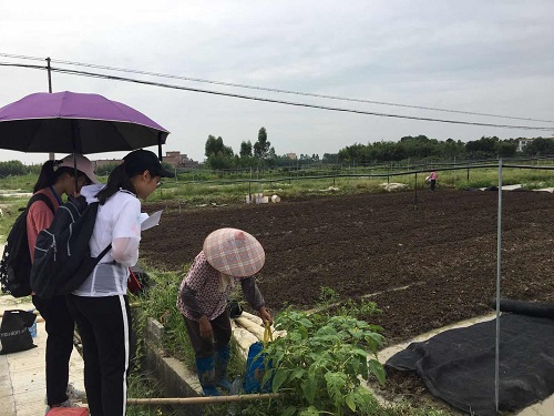 伟德bv国际体育