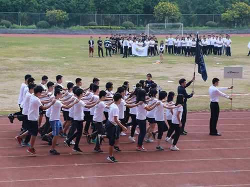 伟德bv国际体育