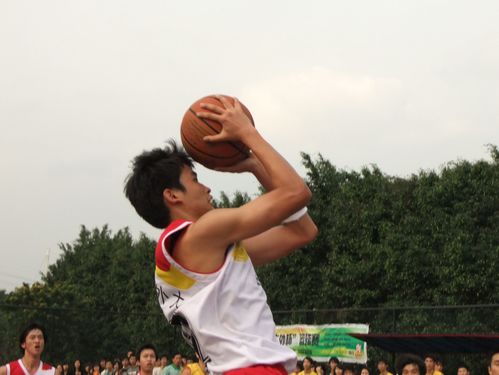 伟德bv国际体育