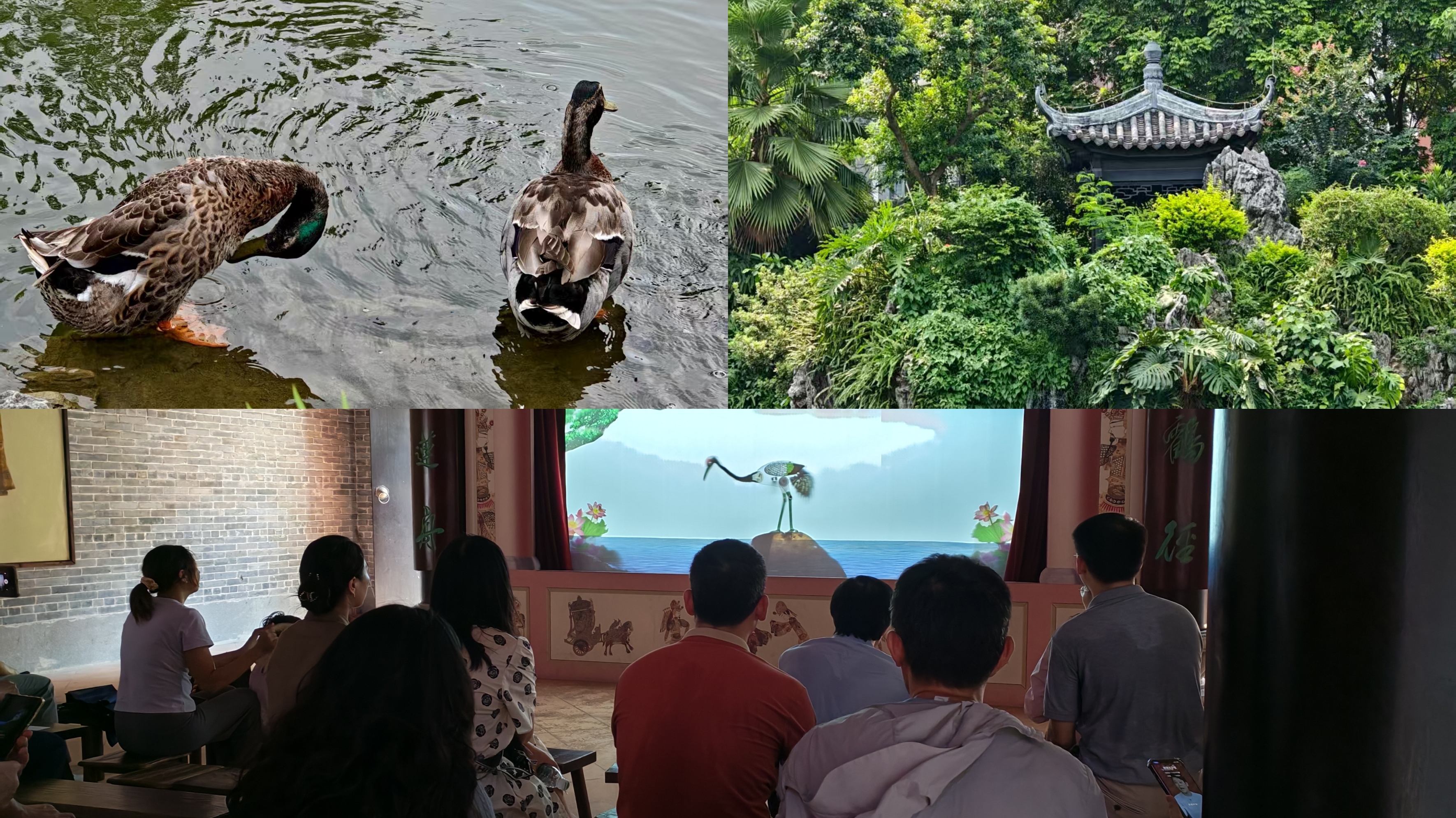 伟德bv国际体育