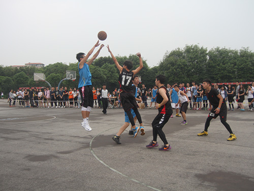 伟德bv国际体育