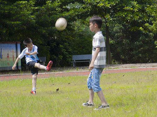 伟德bv国际体育