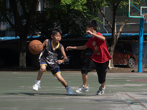 伟德bv国际体育