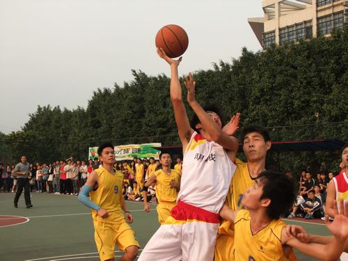 伟德bv国际体育