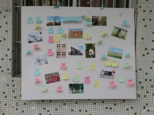 伟德bv国际体育