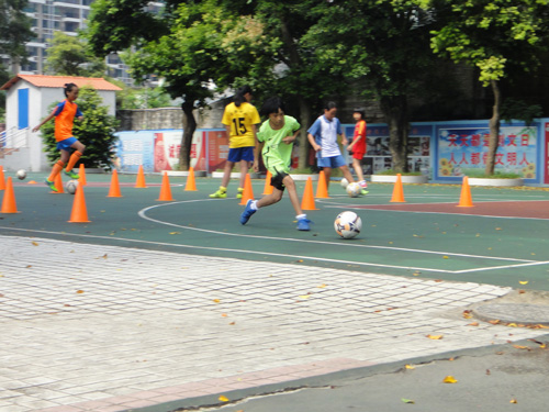 伟德bv国际体育