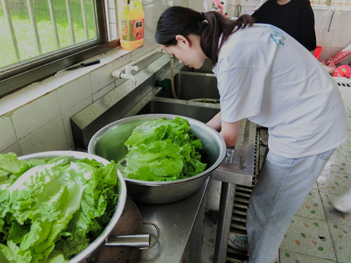 伟德bv国际体育