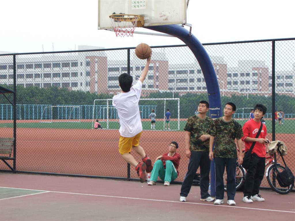 伟德bv国际体育